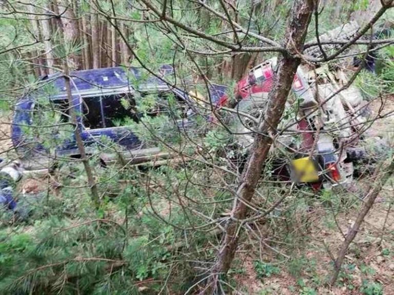 Гранични полицаи от Драгоман задържаха двама каналджии и 26 чужденци