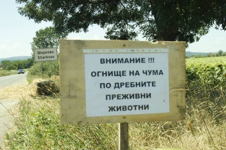 Изплащат обезщетенията за умъртвените животни в Шарково
