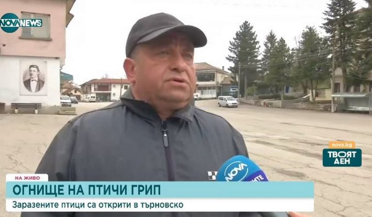 Откриха големи находища на птичи грип край Велико Търново (ВИДЕО)