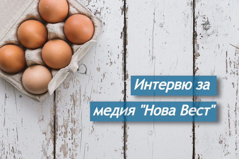 На колко стотинки излиза едно яйце от производител към търговец: Пред медия „Нова Вест“ говори председателят на Съюза на птицевъдите