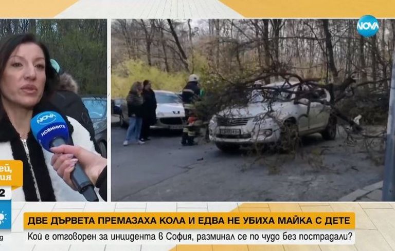 След инцидента с премазана кола от две дървета, както ще предприемат потърпевшите? (ВИДЕО)