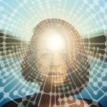 pamet jena mozyk (Copy)