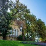 snimka_pravena_qvor_1 (Copy)