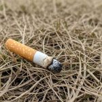cigara-fas-ugarka-suhi-trevi-pojar-Copy.jpg