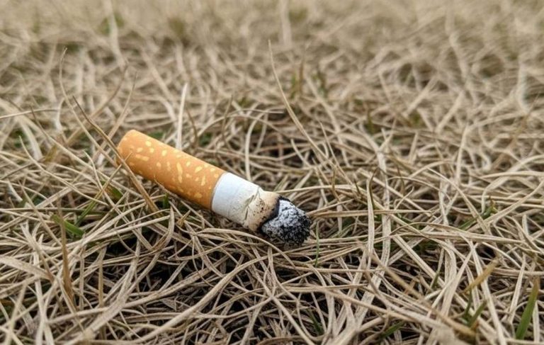 Небрежност с цигара предизвика пожар край домове в Добрич