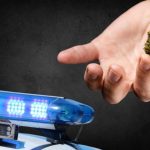 marihuana-kanabis-treva-policiq-patrulka-Copy.jpg