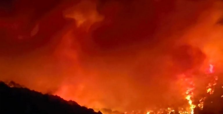 Голям пожар в Сакар планина: над 60 души се борят с огъня и гарантират безопасността на населението