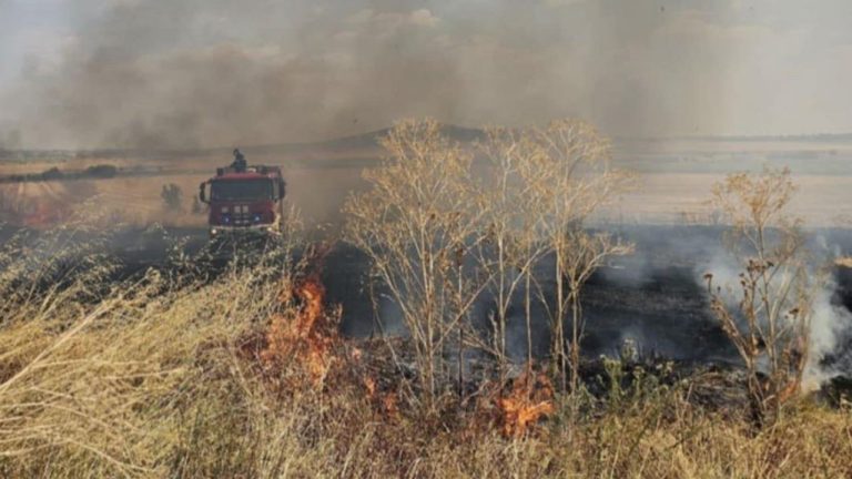 Огън обхваща землището край Асеновград, път затворен