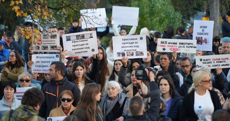 **Лекар уби кучето Мая, а Варна се надига в национален протест: Защо закона пази престъпниците, а не жертвите**
