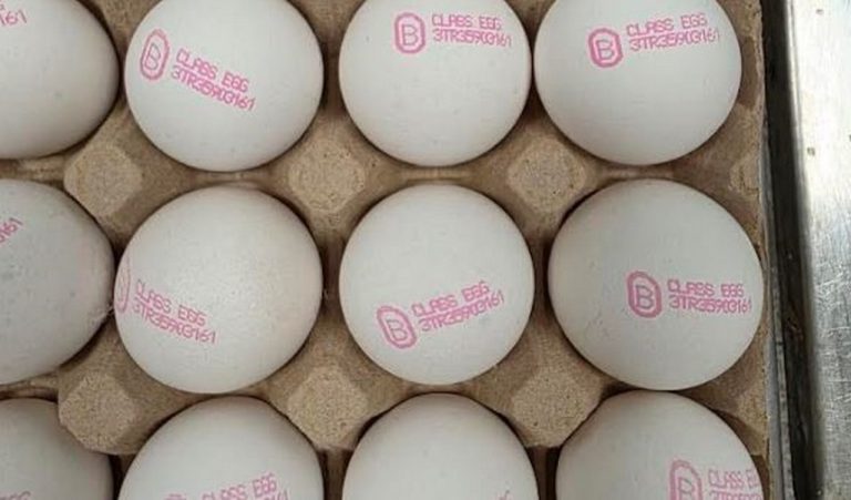 Върнаха 82 тона турски яйца заради липсващ лицензиран обект в България