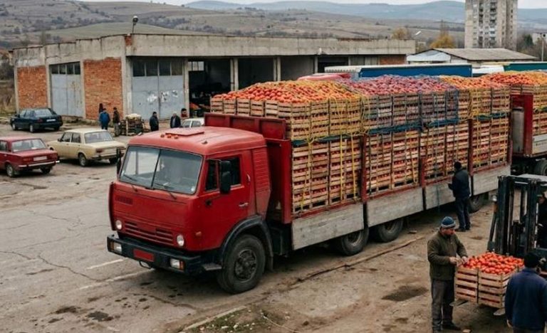 БАБХ спря над 370 тона опасни храни на границата за месец