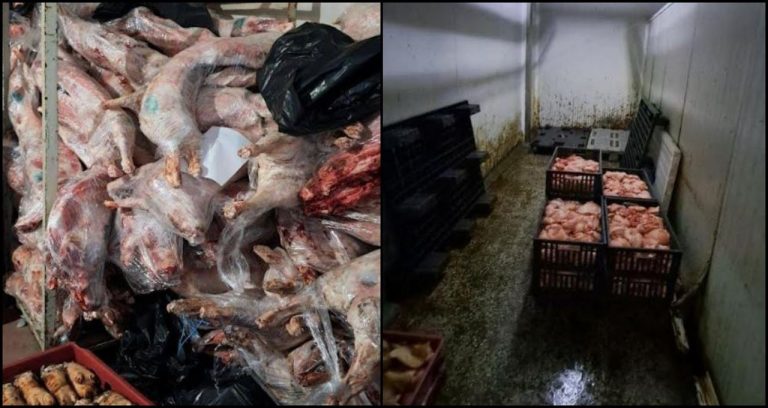 БАБХ спря частично месокомбинат в Свищов, над 10 тона продукти ще бъдат унищожени