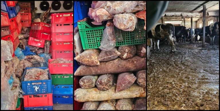 ОДБХ затвори ферма в Дебелец, иззе над 600 кг месо и над 200 кг млечни продукти