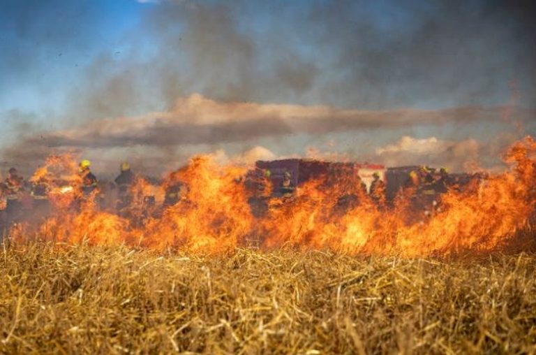 Пожар край АМ „Хемус“ е овладян бързо, няма пострадали