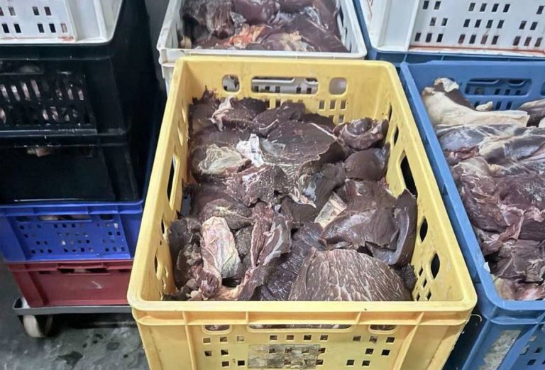 БАБХ иззе близо половин тон негодно свинско месо в Хасково