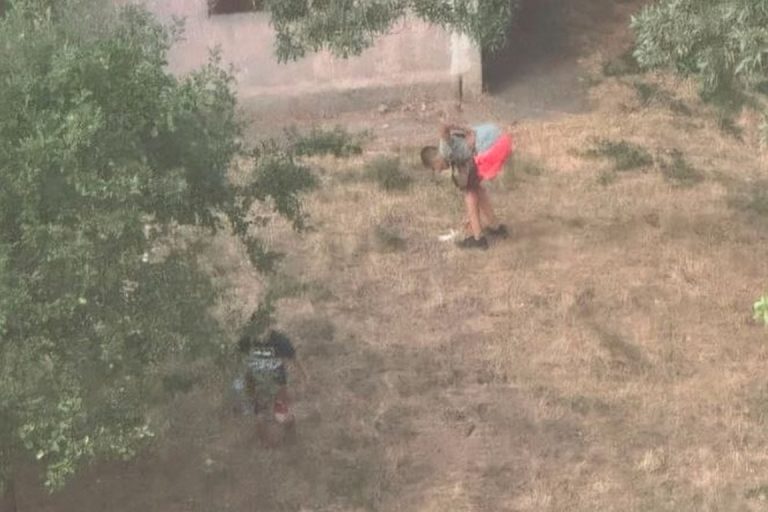 Деца убиха котенце във „Възраждане 1“ във Варна