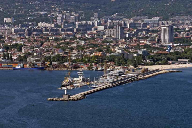 БАБХ откри наднормени пестициди в чай от Китай, пратката ще бъде унищожена