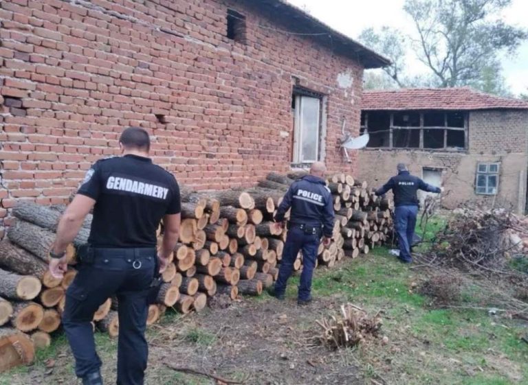 ИАГ и ДГС „Сеслав“ откриха близо 3 кубика незаконна дървесина в село Задруга